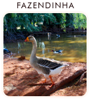 546282d14edca2500a6c1a3f_3fazendinha.png